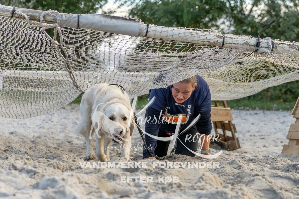 1637_ZZ98077 | kk-dogfotos