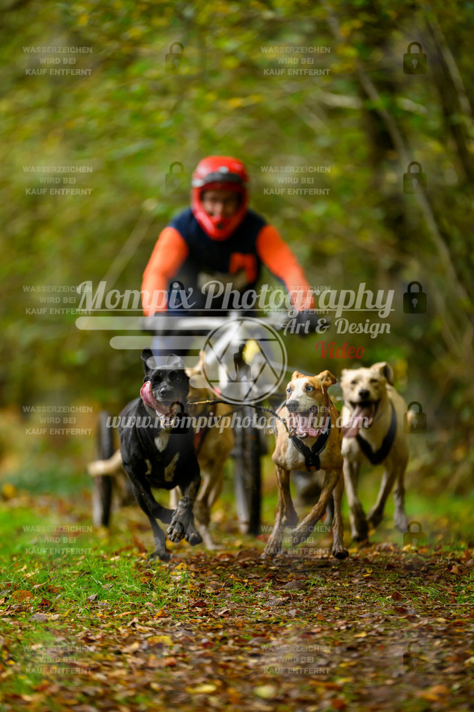 MompixPhotography_20TSB_E1_Doppel-42 | PayLife