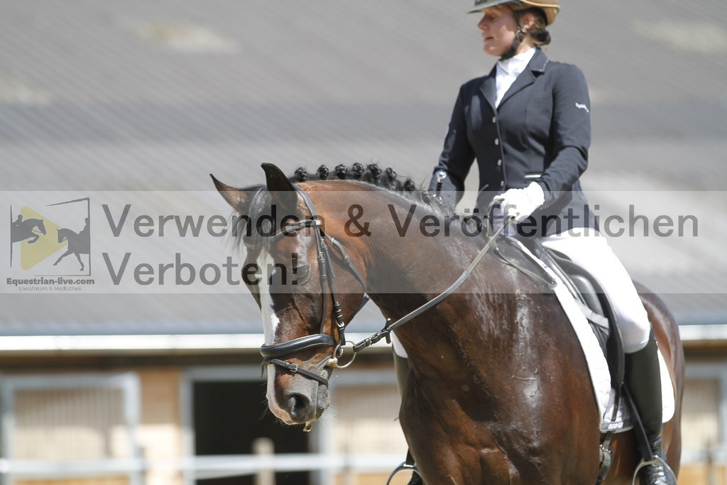 _MG_0825 | equestrian-live-com