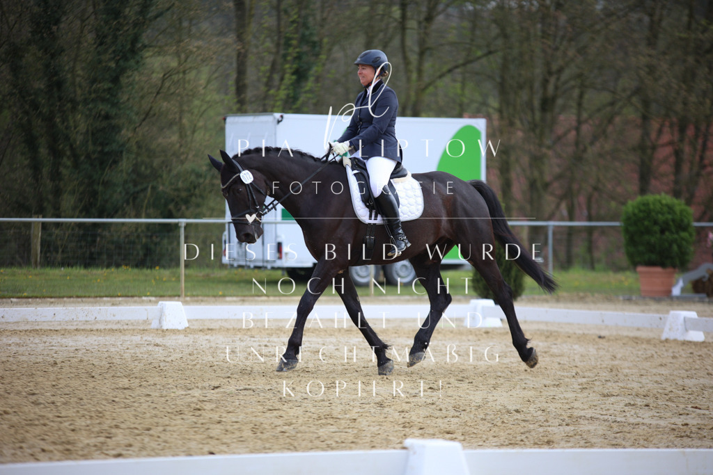 IMGT5707 | pl-fotografie