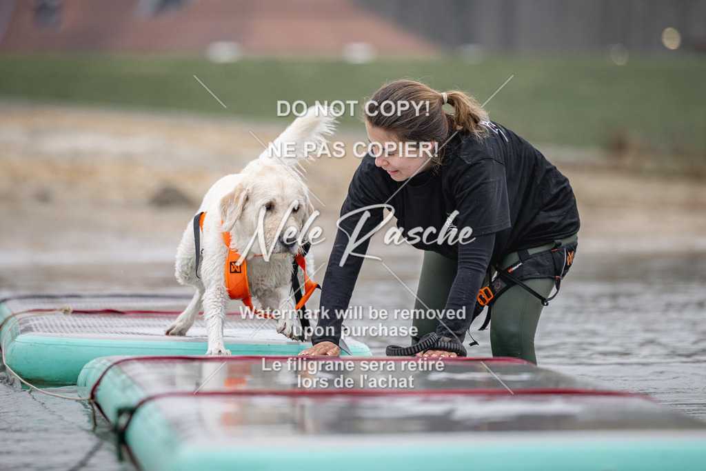 nelerasche_Hulsbeek_Sa1030-1100_694 | nelerasche