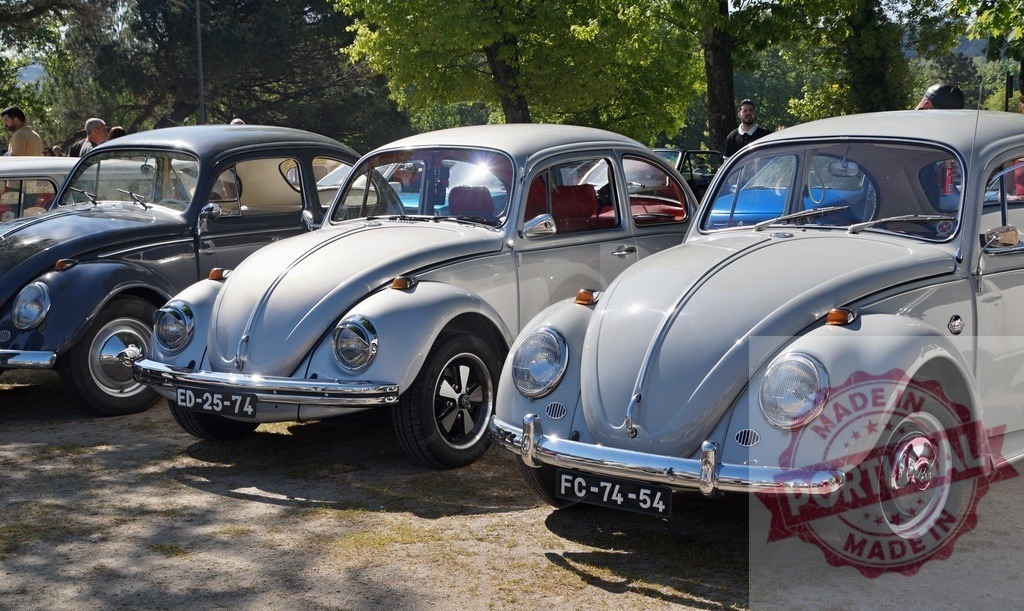 Volkswagen Beetle classic cars parked at a vintage show | Volkswagen Beetles lined up at an outdoor car show, attracting enthusiasts - Realisiert mit Pictrs.com