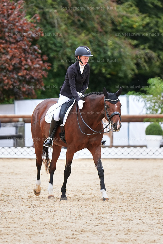 04_1-084-Dressur M__ -Marixx-2752 | working equitationturnier fotograf videograf stoibphotography marixx film working equitation deutschland reitsport turnierfotografie eventfotografie equestrian events