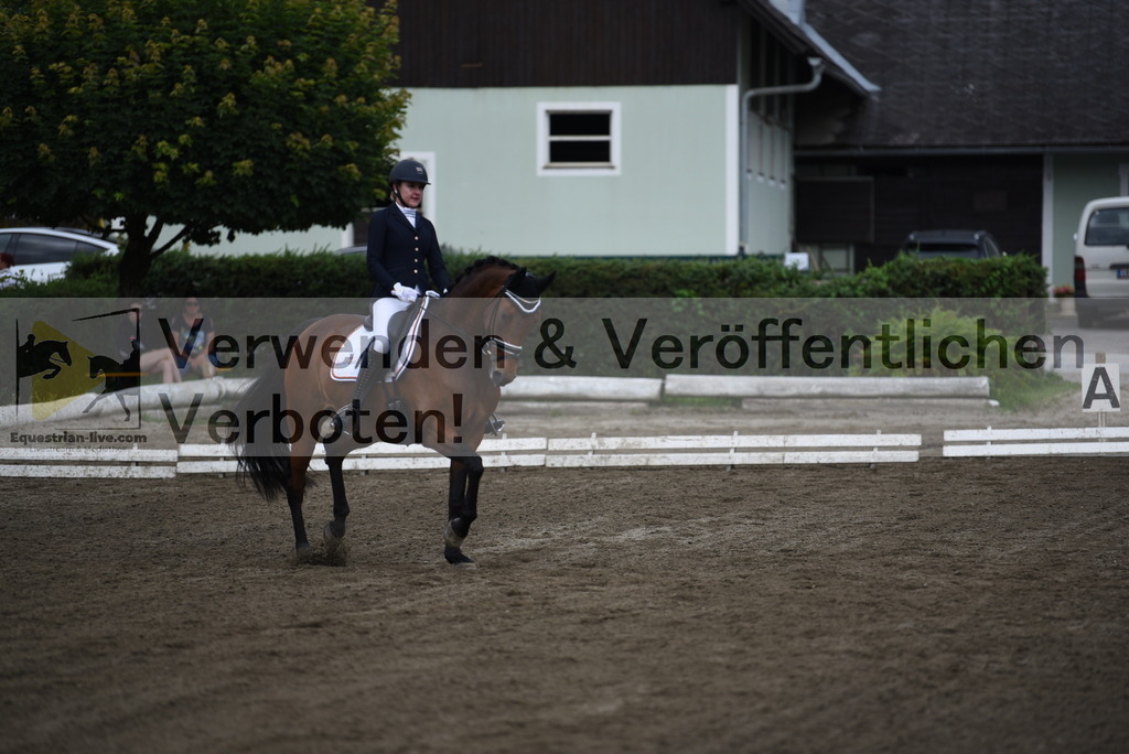 DSC_4174 | equestrian-live-com
