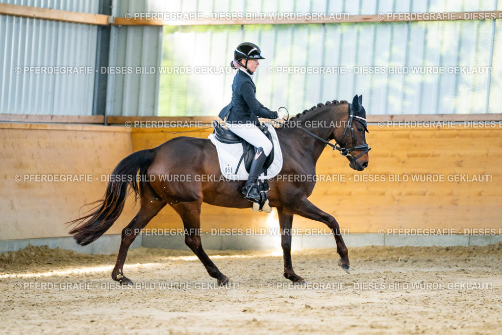 DSC06349 | Pferdegrafie