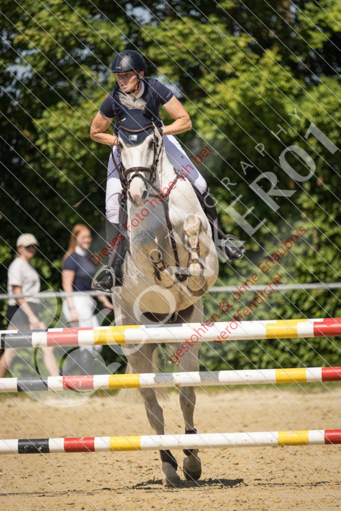IMG_9834 | Sport-, Event- und Tierfotos in Profiqualität. Einfach auswählen, bestellen und herunterladen. Dein Moment – perfekt festgehalten.