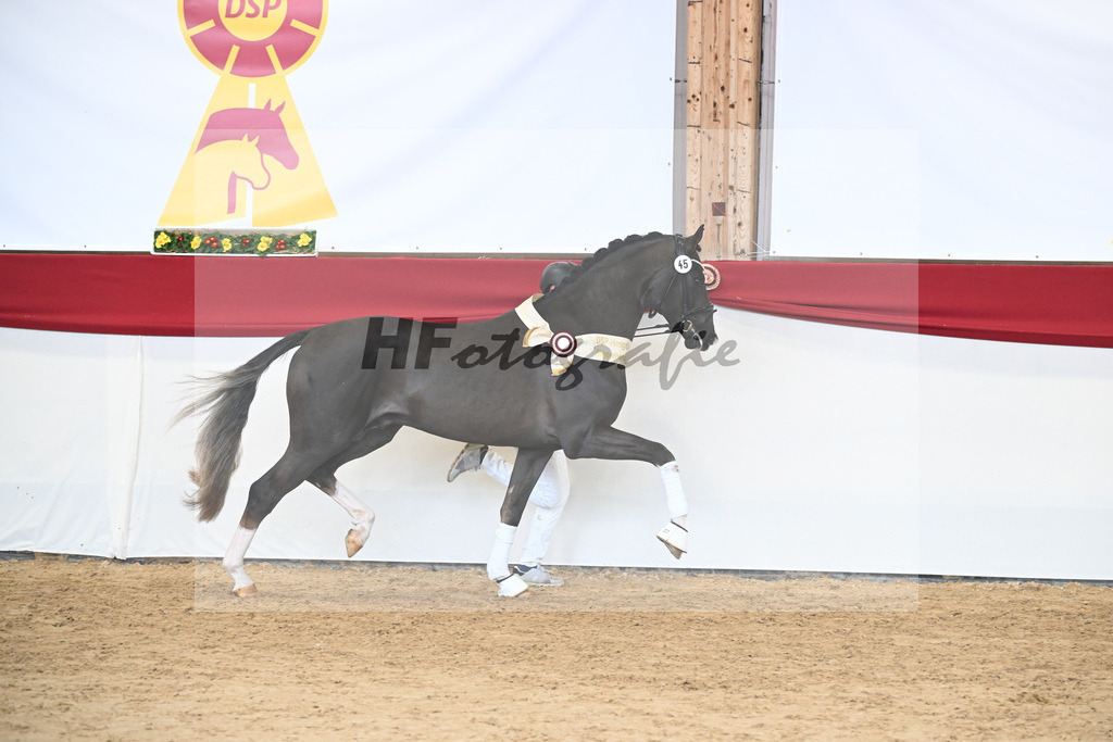 Kat.-Nr. 45 v. Bonds_Schafhof_2252171 | hf-fotografie - Realisiert mit Pictrs.com