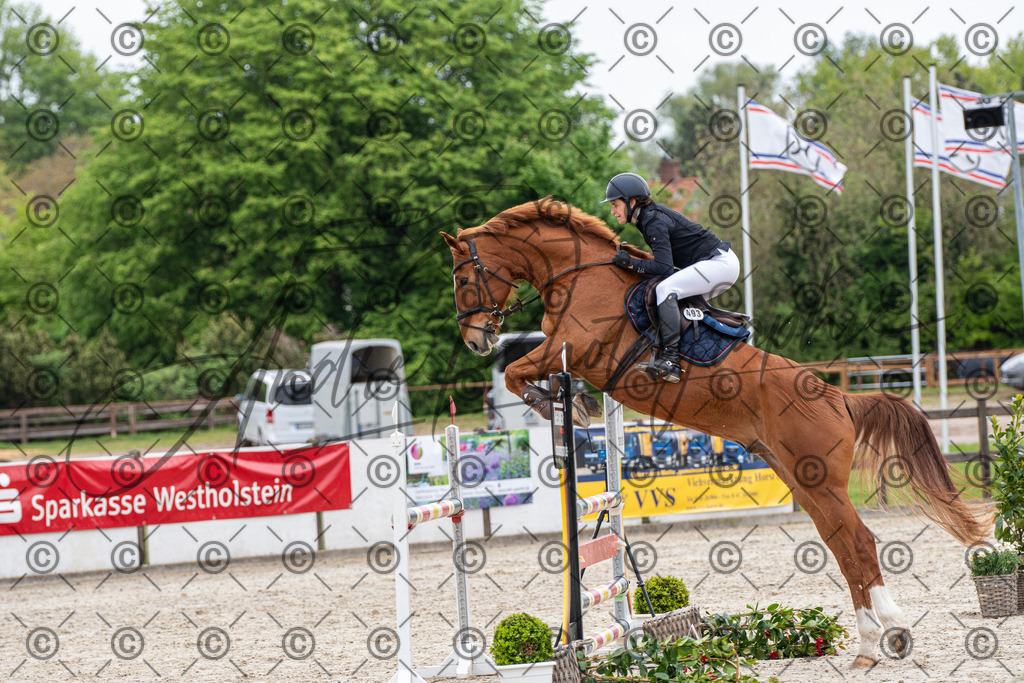 KPT_8432 | andre_photographic