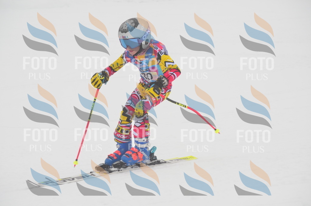 C1233 | holidayphoto