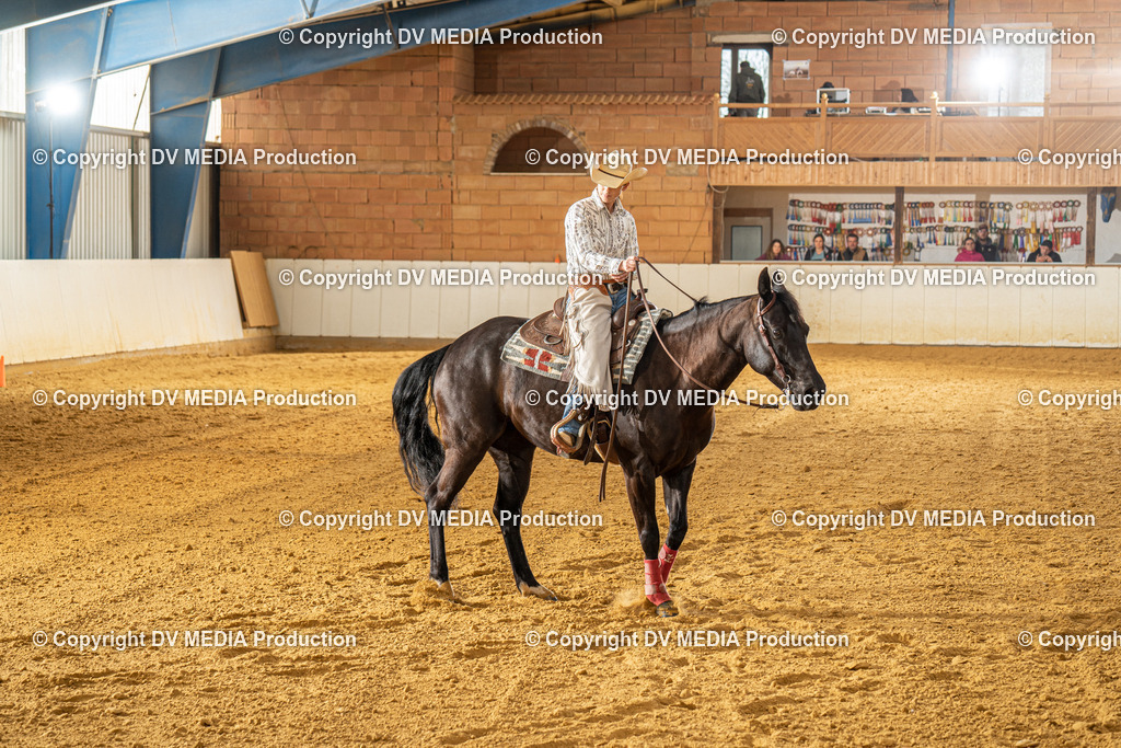 MIT00703 | dv-media-shop - Realisiert mit Pictrs.com