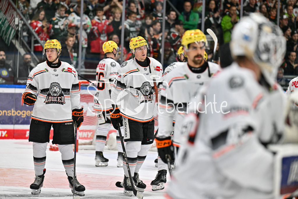Augsburger Panther - Löwen Frankfurt | enttaeuschte Frankfurter nach der Niederlage in Augsburg / DEL: Augsburger Panther - Löwen Frankfurt, Curt Frenzel Stadiom am 11.10.2024