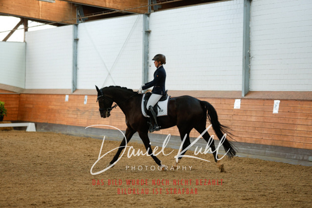 _62_6887 | Turniersportfotografie; Pferdefotografie; Dressurfotografie