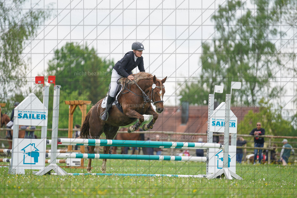 20240509-FAH02551 | Turnierbilder der Turnierfotografen Bayern, Pferdesport Fotografie, Reitsportbilder, Turnier Landberg am Lech, Turnierbilder bayern, Fotoagentur Herrmann