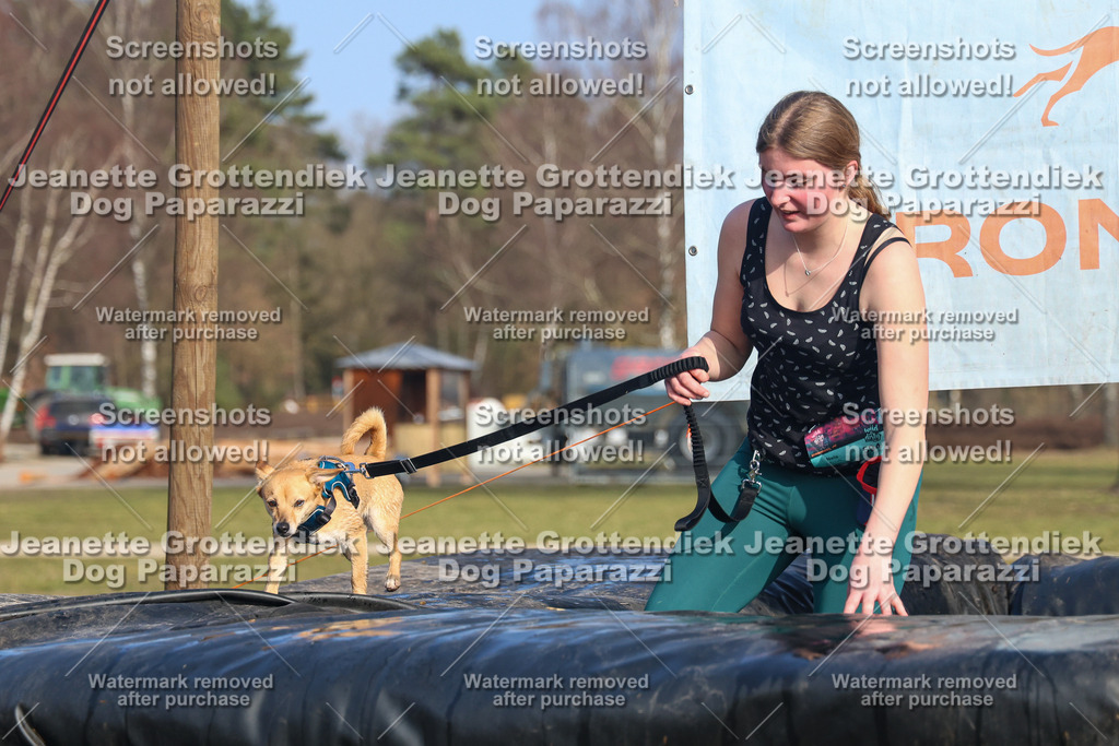 Dog Paparazzi - Strongdog North Mrz26-3461 | Dog Paparazzi Jeanette Grottendiek Fotografie & Videografie - Realisiert mit Pictrs.com