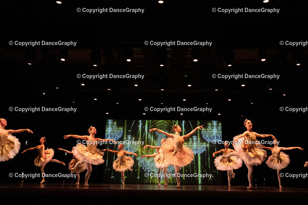 GPHY6561 | DanceGraphy - Realisiert mit Pictrs.com