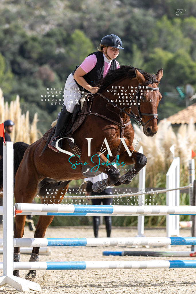 IMG_2947 | s-jay-photography - Realisiert mit Pictrs.com