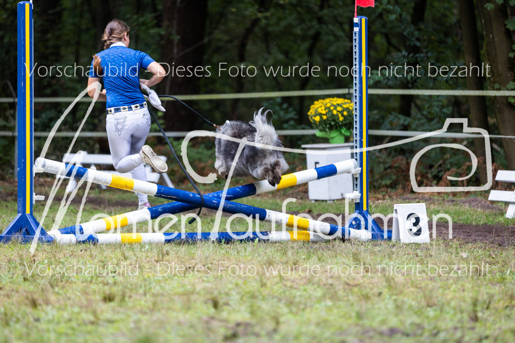 HB-JaD-024 | MomenTaufnahmen Pferdesportfotos