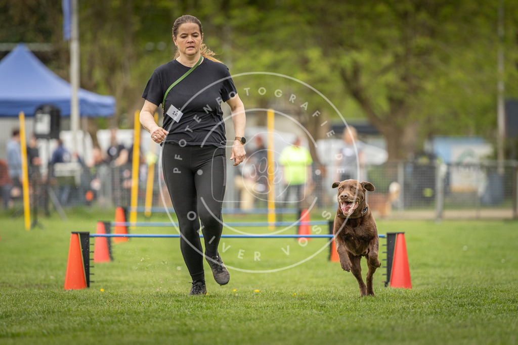 Pfotenfotografie_DV3A0467 | Hundefotografie, Tierfotograf, Pfotenfotografie, Fotoshooting Hund, Hunde Portrait, Hundesport, Hundeportraits, Heideshooting, Hunde, Sportfotograf, Hundefotograf, Turnierhundsport, THS,  - Realisiert mit Pictrs.com