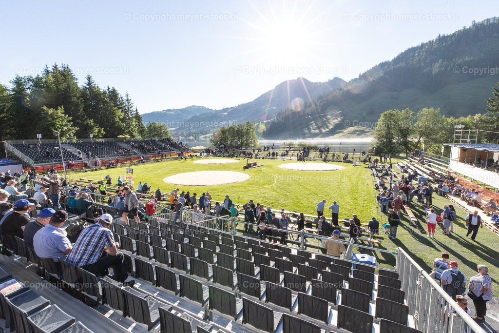 DX3_8990 | meyer-stoeckli