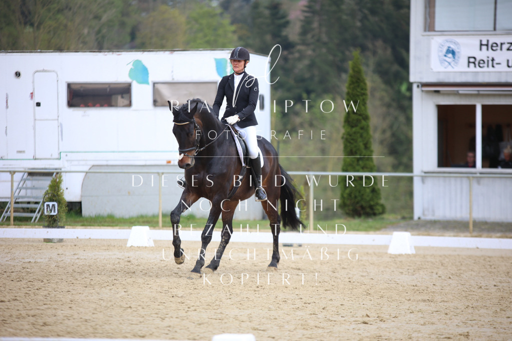 IMGT7136 | pl-fotografie