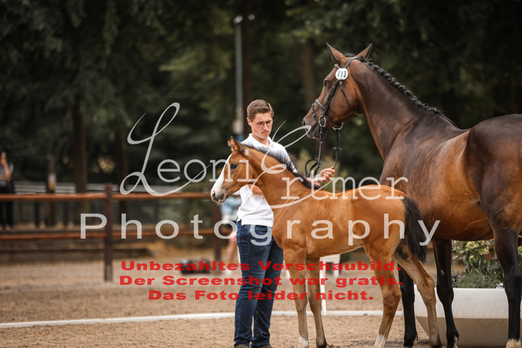 SaFohlen00124 | Leoni Ertmer Photography - Realisiert mit Pictrs.com