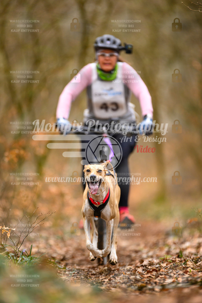 MompixPhotography_ReiatRennen2024_SO_Bike1H-82 | PayLife