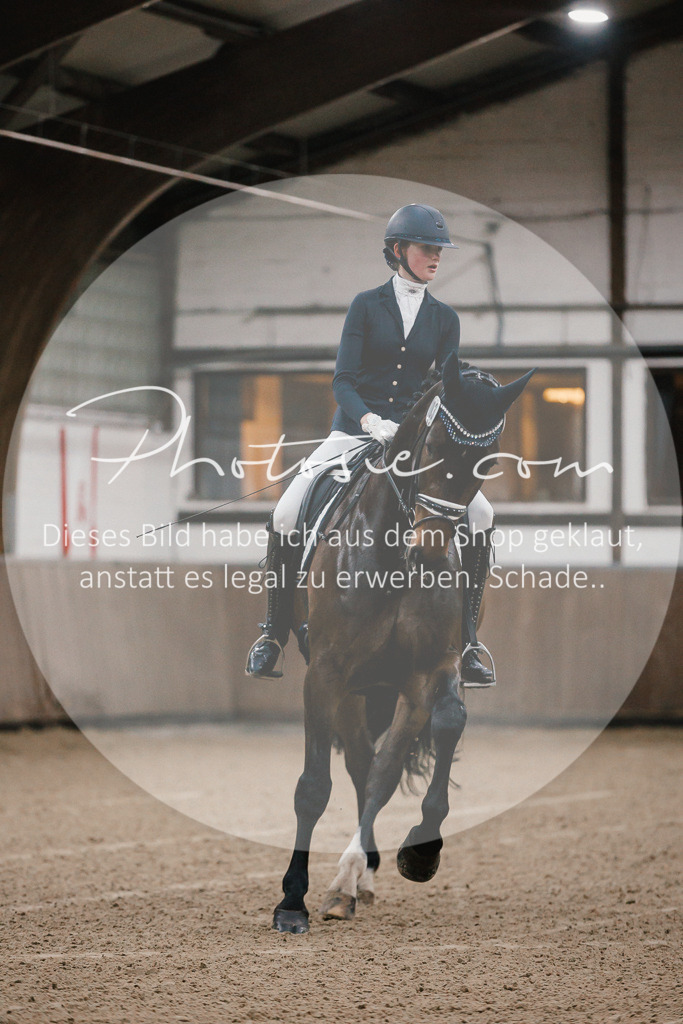 3I6A5834 | Stimmungsvolle Portraits und Reitsportfotografie im Ruhrgebiet und im Münsterland.

Pferdefotografie, Hundefotografie, Tierfotografie, Reportagen, Portraits von Tier und Mensch, Turnierfotografie in Bochum, Recklinghausen, Marl, Haltern am See, Dülmen.. - Realisiert mit Pictrs.com