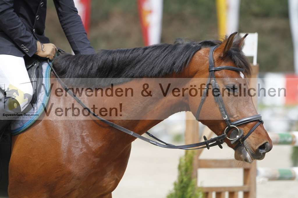 _MG_3839 | equestrian-live-com