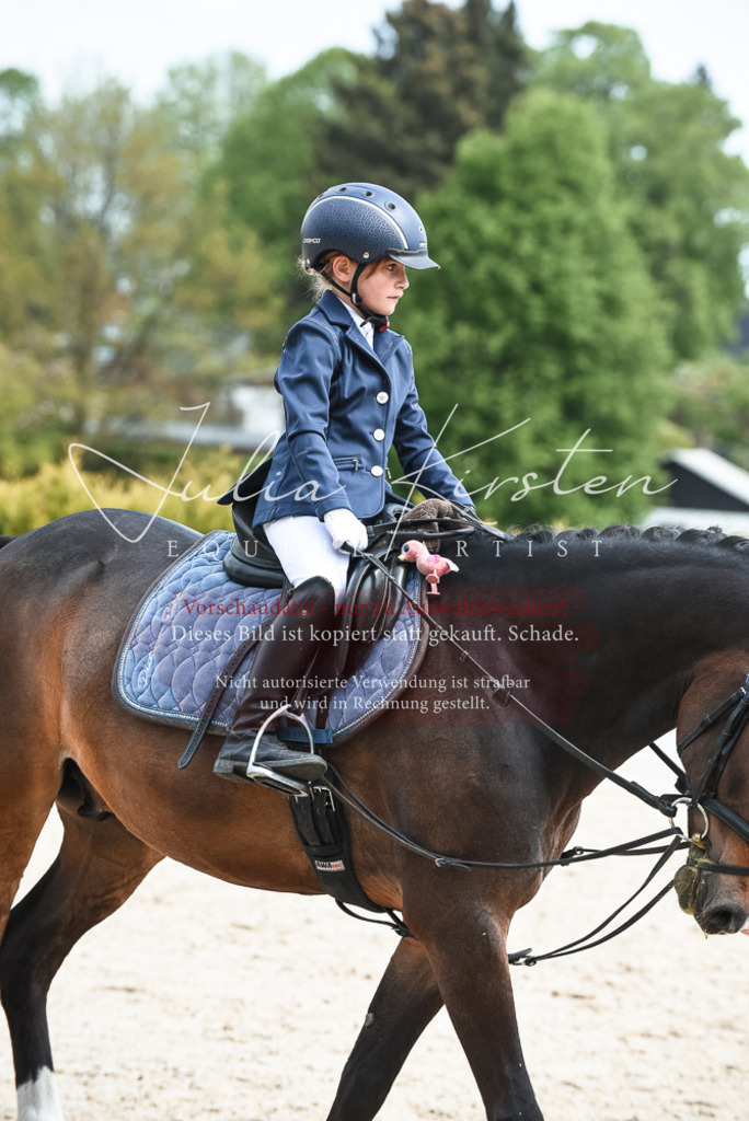 20230518_JK-Röhrsdorf-11-0249 | Pferde- und Turnierfotografie in Westsachsen. Pferdeportraits, Auftragszeichnungen und intuitive Kunst.