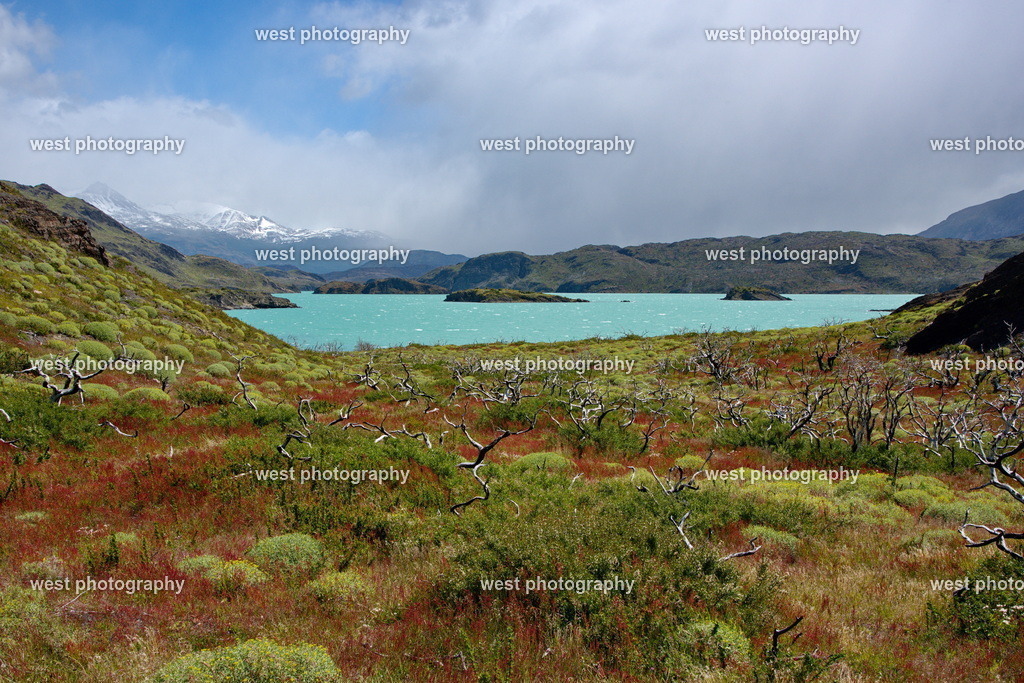 Torres del Paine NP 1 - CHI 2014 | west photography - Realisiert mit Pictrs.com
