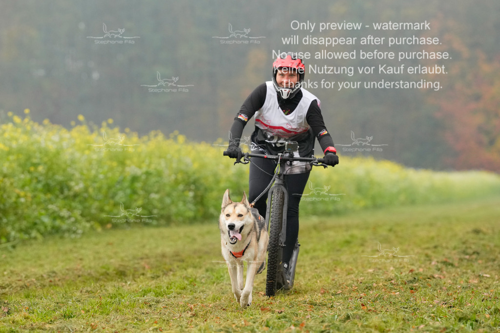 Visbeck_Sa_Scooter_Hc-73 | stephaniefillaphotographie - Realisiert mit Pictrs.com