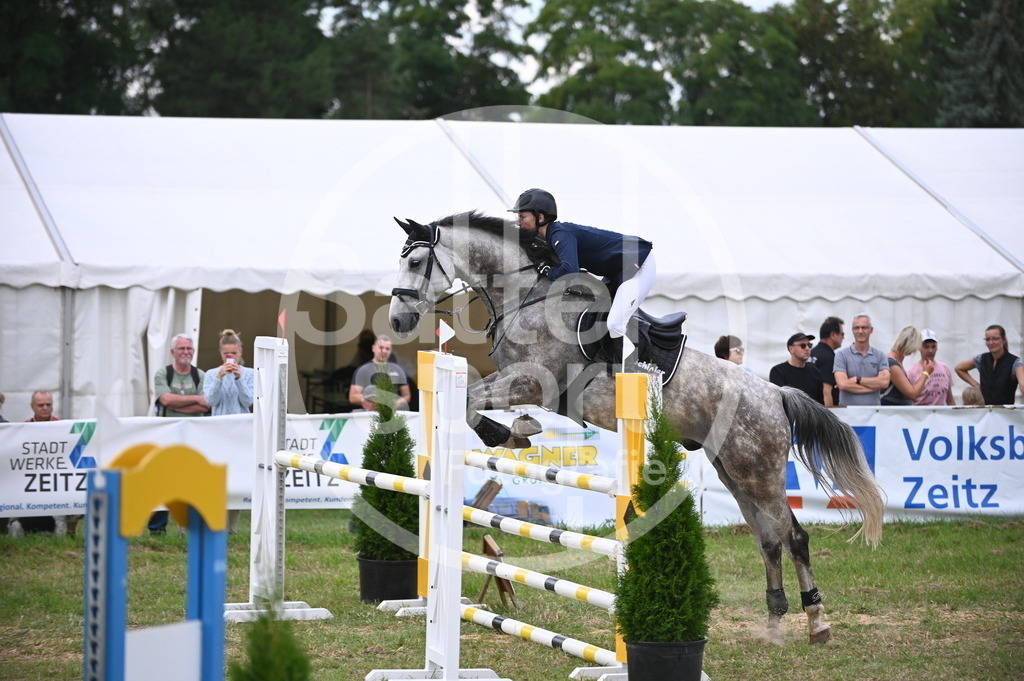 DSC_7934 | sattelsport - Realisiert mit Pictrs.com