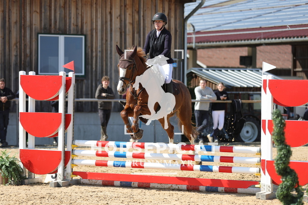 0P6A6794 | Willkommen bei Brunnmayr - Design & Fotografie – Ihrem Spezialisten für Reitturniere und Pferdeveranstaltungen in Oberösterreich, Salzburg und Bayern! Seit über 17 Jahren sind wir leidenschaftlich dabei.