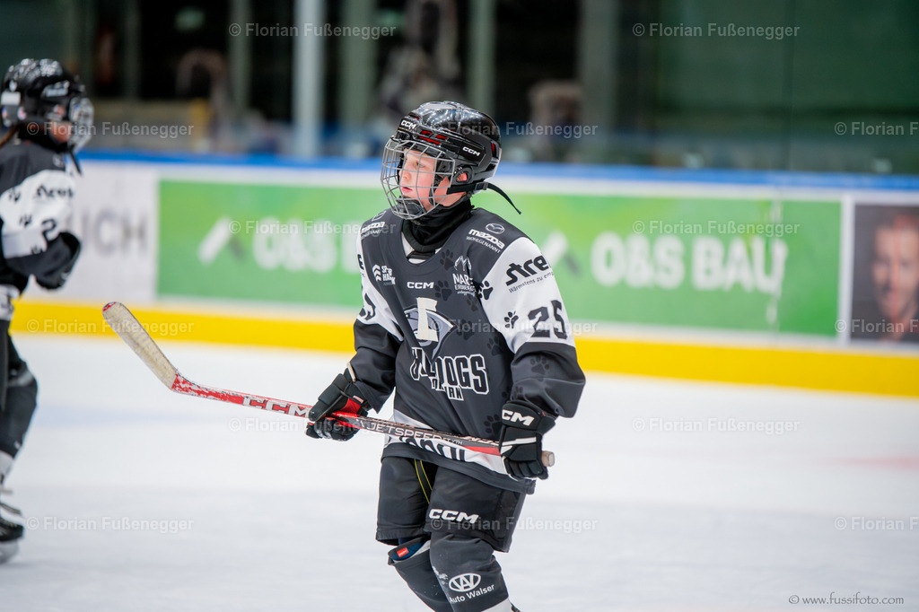 DSC_9490 | "Fussifoto.com – Ihr Ansprechpartner für hochwertige Fotografie! Entdecken Sie kreative Bilder und professionelle Dienstleistungen. Kontaktieren Sie uns für Ihre Projekte!"