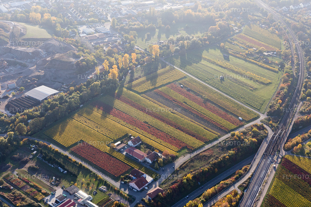 Luftbild: Gutsscchänke Holzhof in Neustadt an der Weinstraße im Bundesland Rheinland-Pfalz in Deutschland. Foto: IMG_095598.jpg vom 30.10.2016 durch Werner Riehm/FLY-FOTO.de