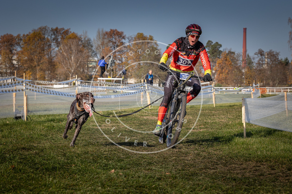 CaniXpix_0L8A7562 | Hundefotografie, Tierfotograf, Pfotenfotografie, Fotoshooting Hund, Hunde Portrait, Hundesport, Hundeportraits, Heideshooting, Hunde, Sportfotograf, Hundefotograf, Turnierhundsport, THS,  - Realisiert mit Pictrs.com