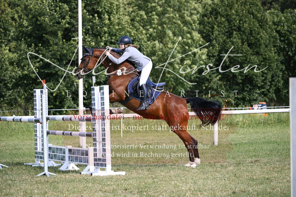 DSC_1352 | Pferde- und Turnierfotografie in Westsachsen. Pferdeportraits, Auftragszeichnungen und intuitive Kunst.