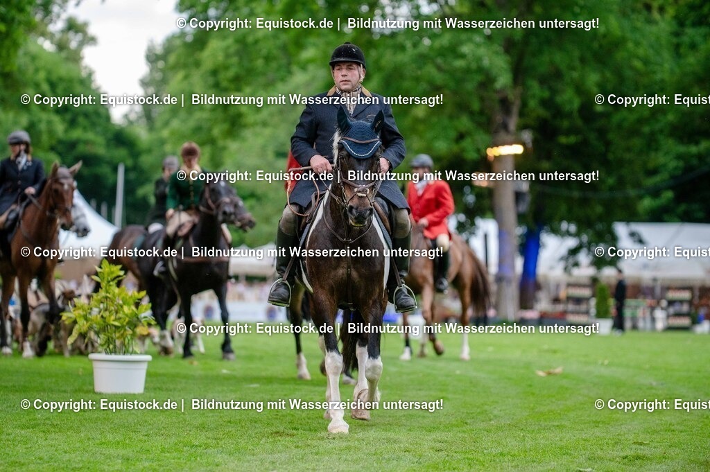 20250606_Lange-Pferdenacht_0519 | Foto: Thomas Hartig