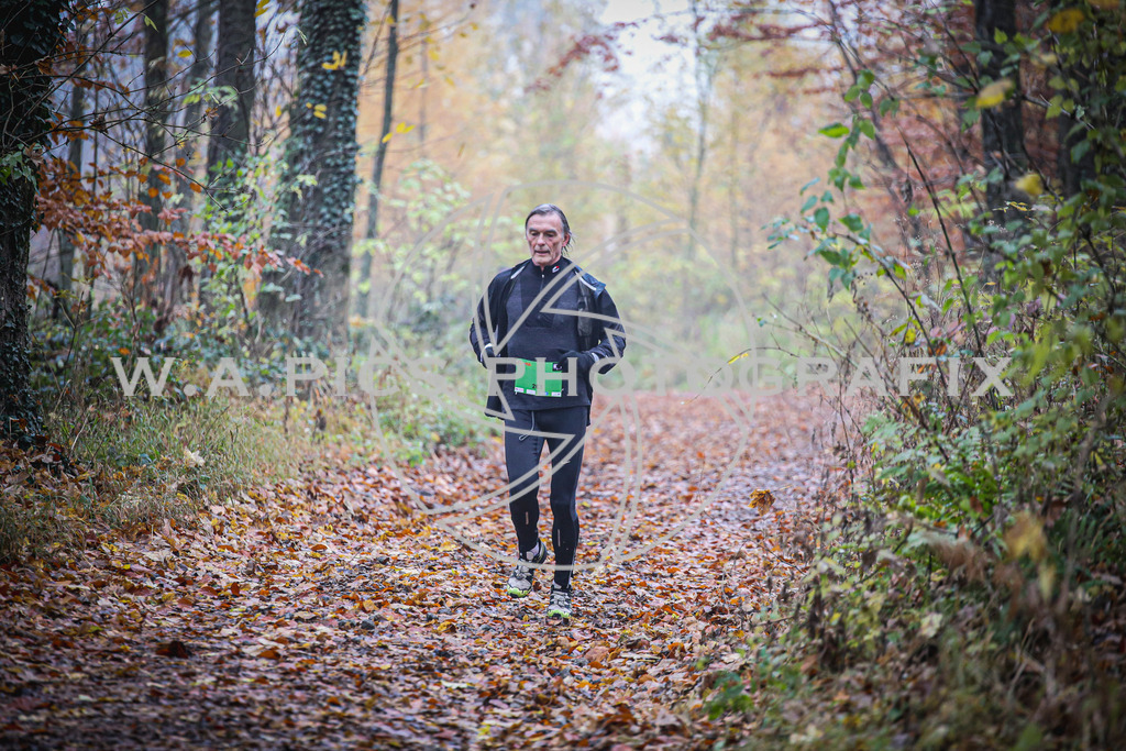 ..... | LEONDING,AUSTRIA,8.November 25, Kürnberglauf 2025  , Image shows: Photo: WAPICS / Andreas Willdoner