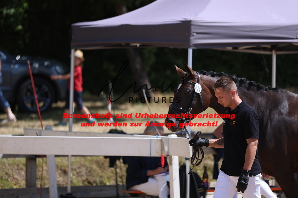 Fohlenschau_Schwäbisch_Hall_springbetonte_Fohlen_KN 34_1 | lmwpictures - Realisiert mit Pictrs.com