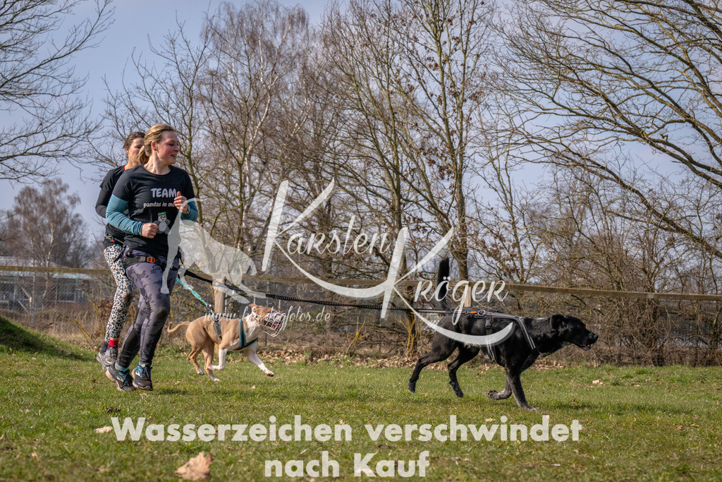 _ZZ90589 | kk-dogfotos