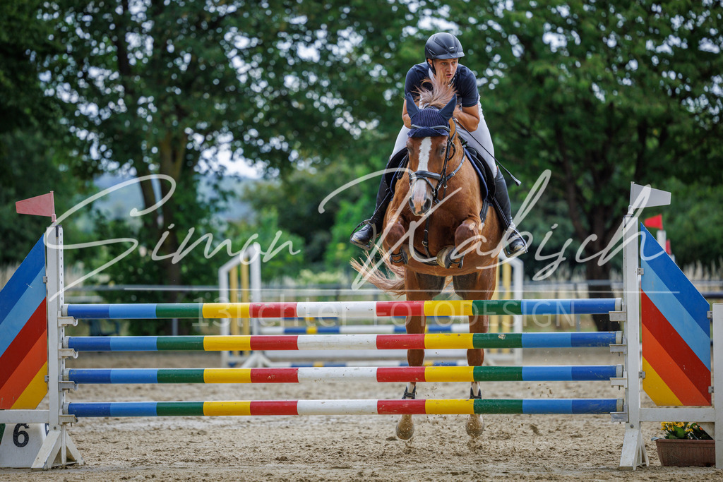 20260705-_3LI6236 | Tierfotografie Pferde, Hunde, Katzen, Haustiere.
Turnierfotografie Reitturniere, Reiten, Springreiten, Dressur in Hanau, dem Main-Kinzig-Kreis und dem Rhein-Main- Gebiet um Frankfurt