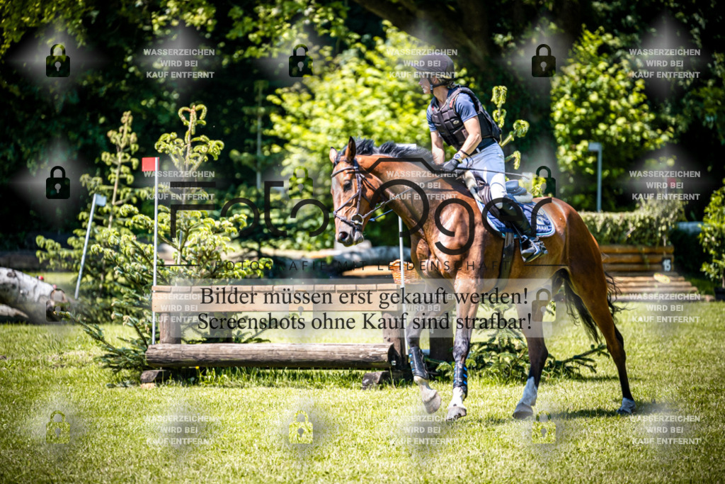 2026-05 - Melle Oldendorf-1-0074 | Entdecke hochwertige Reitturnierfotos von Foto Oger. Professionell, emotional und authentisch – jetzt Lieblingsmomente im Shop bestellen.Deutschlandweite Turnierfotografie. - Realisiert mit Pictrs.com