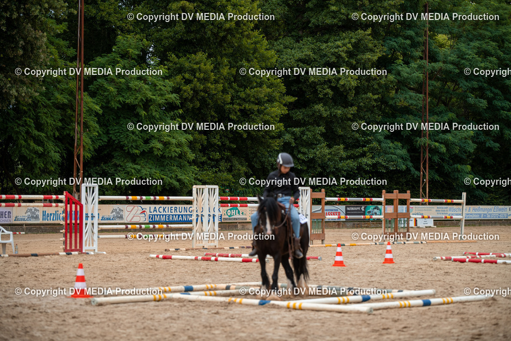 ZS2_8046 | dv-media-shop - Realisiert mit Pictrs.com