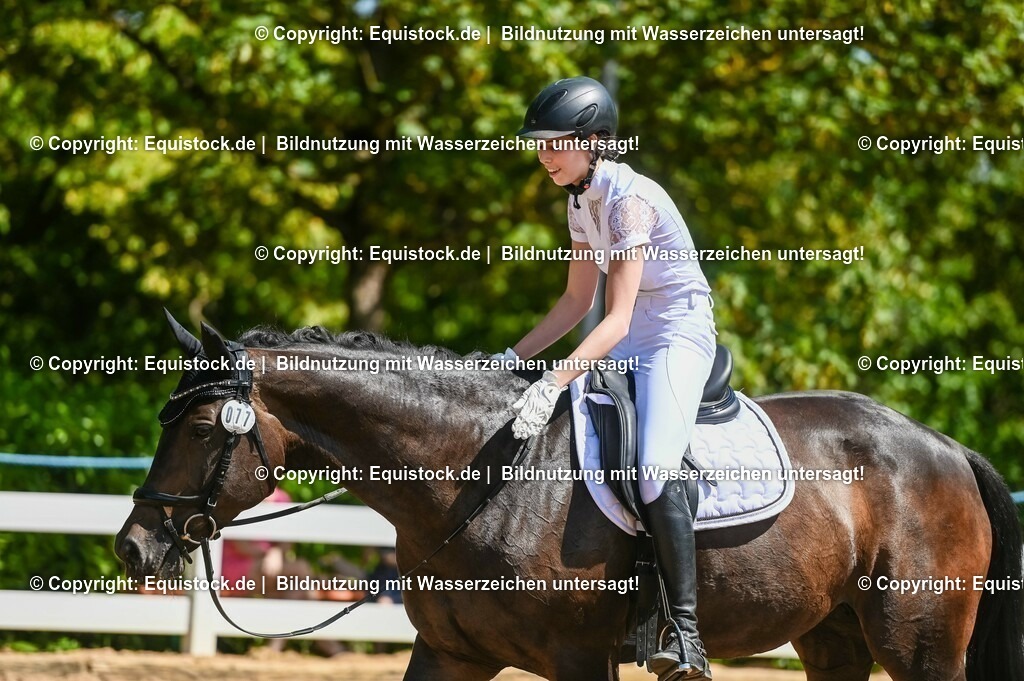 20230715_02_Dressurreiterprüfung Kl.L_0072 | equistock