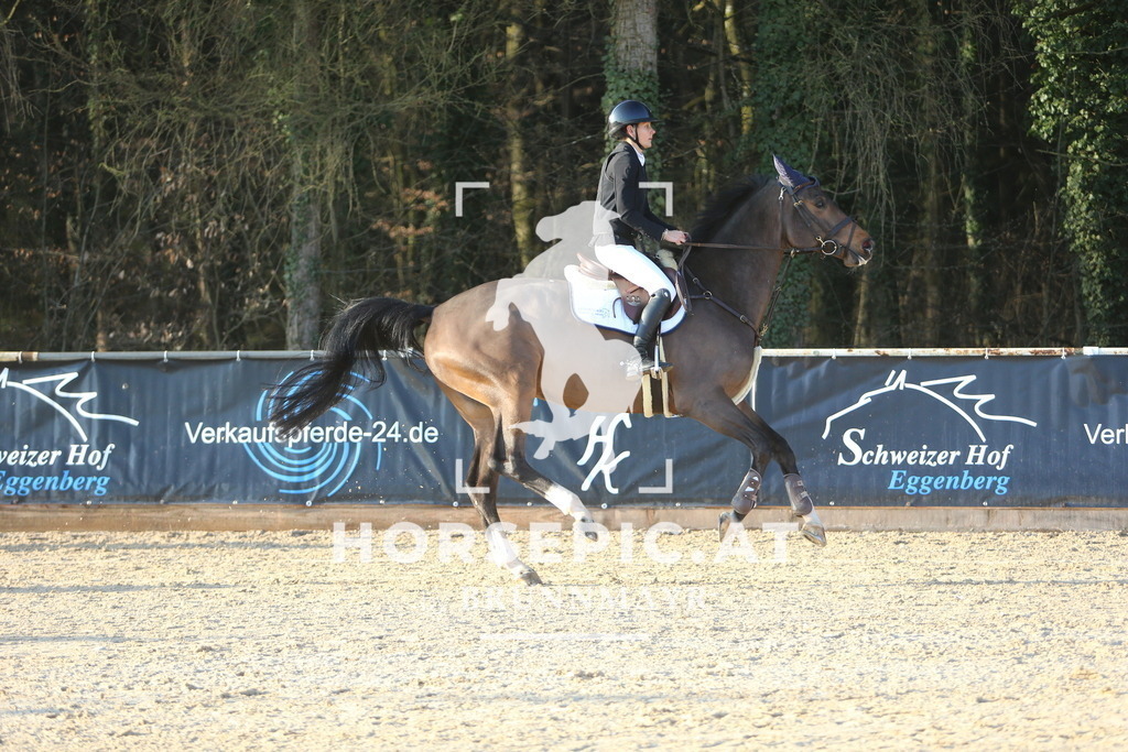 DL2Q7286 | Willkommen bei Brunnmayr - Design & Fotografie – Ihrem Spezialisten für Reitturniere und Pferdeveranstaltungen in Oberösterreich, Salzburg und Bayern! Seit über 17 Jahren sind wir leidenschaftlich dabei.