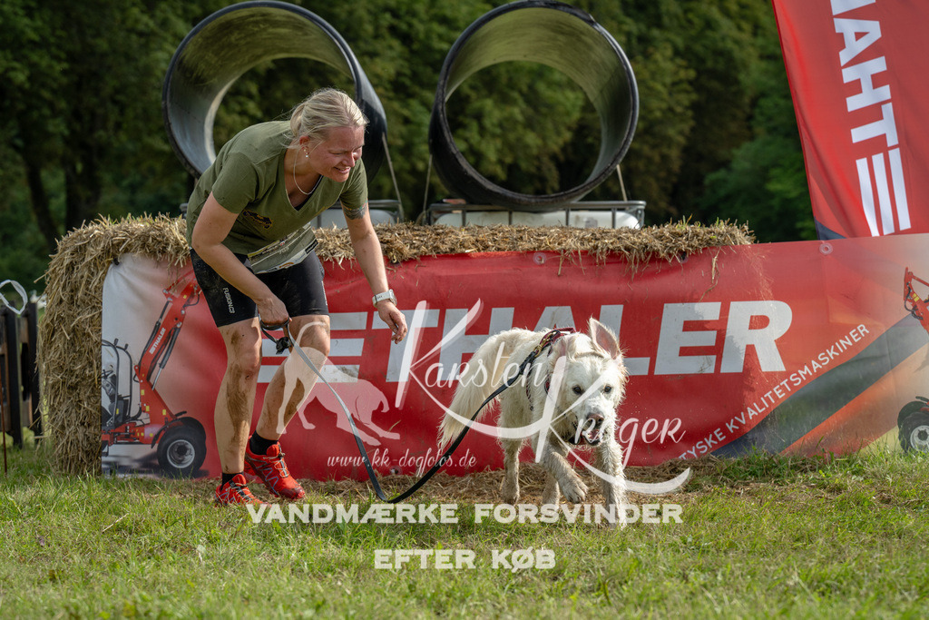 0955_ZZ91694 | kk-dogfotos