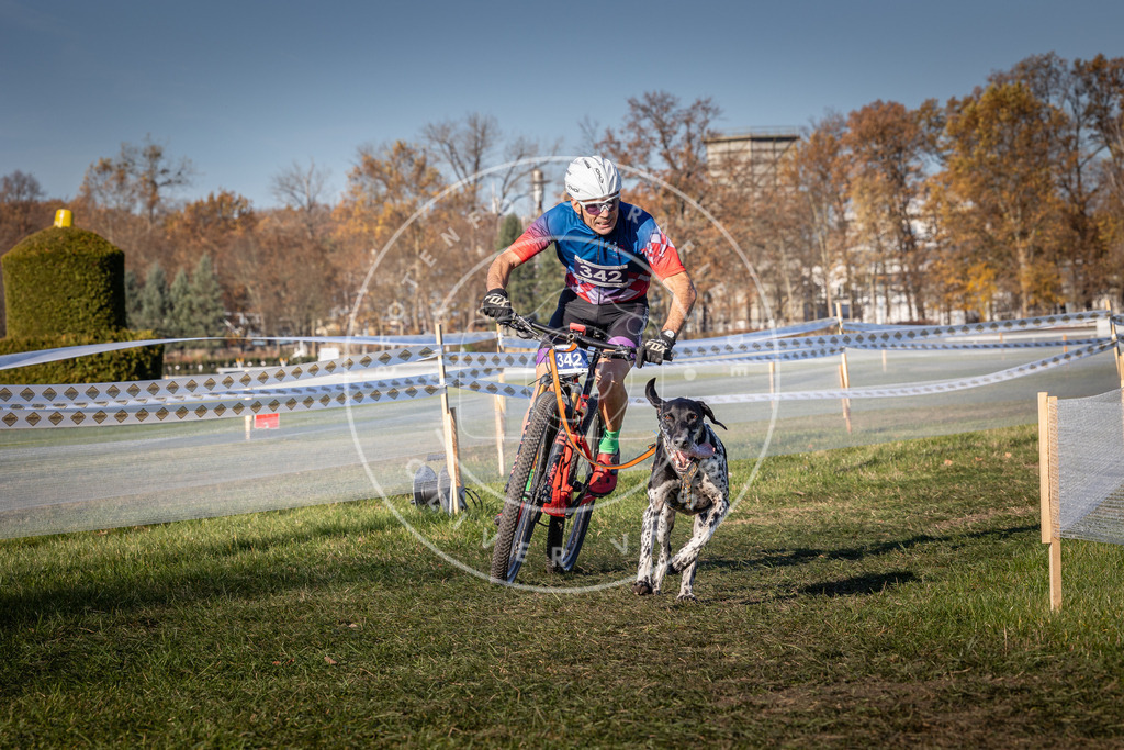CaniXpix_0L8A5978 | Hundefotografie, Tierfotograf, Pfotenfotografie, Fotoshooting Hund, Hunde Portrait, Hundesport, Hundeportraits, Heideshooting, Hunde, Sportfotograf, Hundefotograf, Turnierhundsport, THS,  - Realisiert mit Pictrs.com