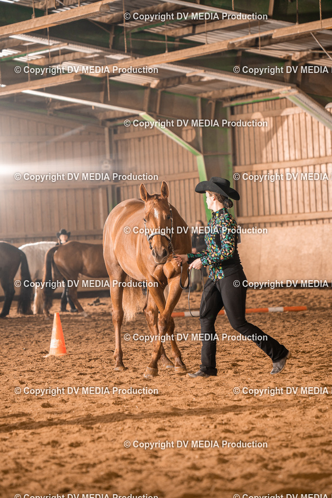 BAL01240 | dv-media-shop - Realisiert mit Pictrs.com