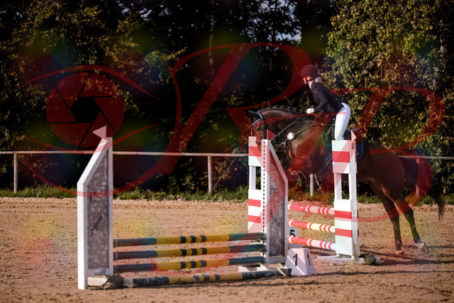 2026_10_03_Siefer-Hof_154148_Z81_58849950 | Professionelle Reitsport-, Turnier- und Eventfotografie von Robert Broda. Galerien mit ausgewählten und bearbeiteten Bildern direkt online ansehen und bestellen.